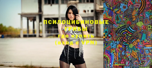 хмурый Вязьма