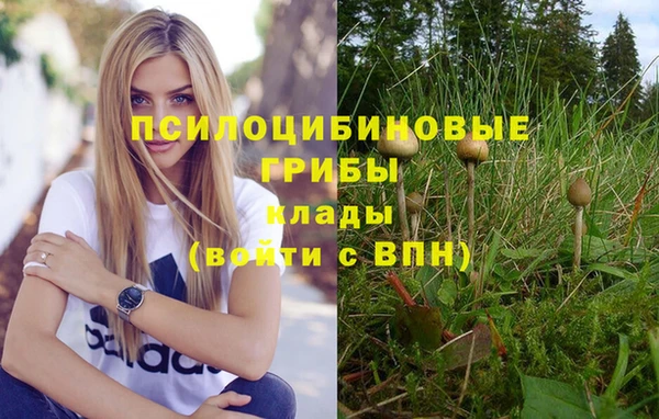 гашиш Вяземский