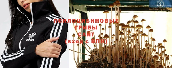 хмурый Вязьма