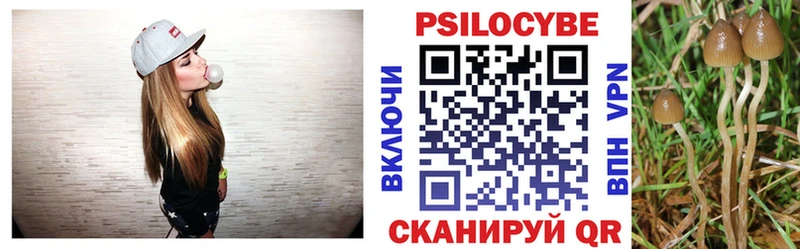 Купить  Остров  Галлюциногенные грибы MAGIC MUSHROOMS 